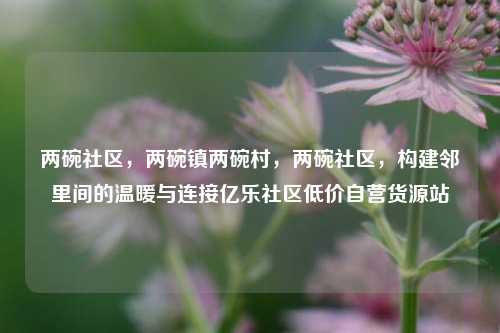 两碗社区	，两碗镇两碗村，两碗社区，构建邻里间的温暖与连接亿乐社区低价自营货源站  第1张