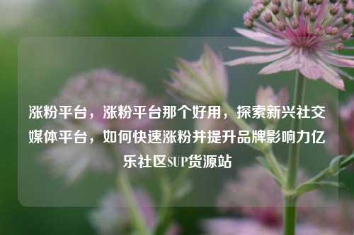 涨粉平台	，涨粉平台那个好用，探索新兴社交媒体平台，如何快速涨粉并提升品牌影响力亿乐社区SUP货源站  第1张